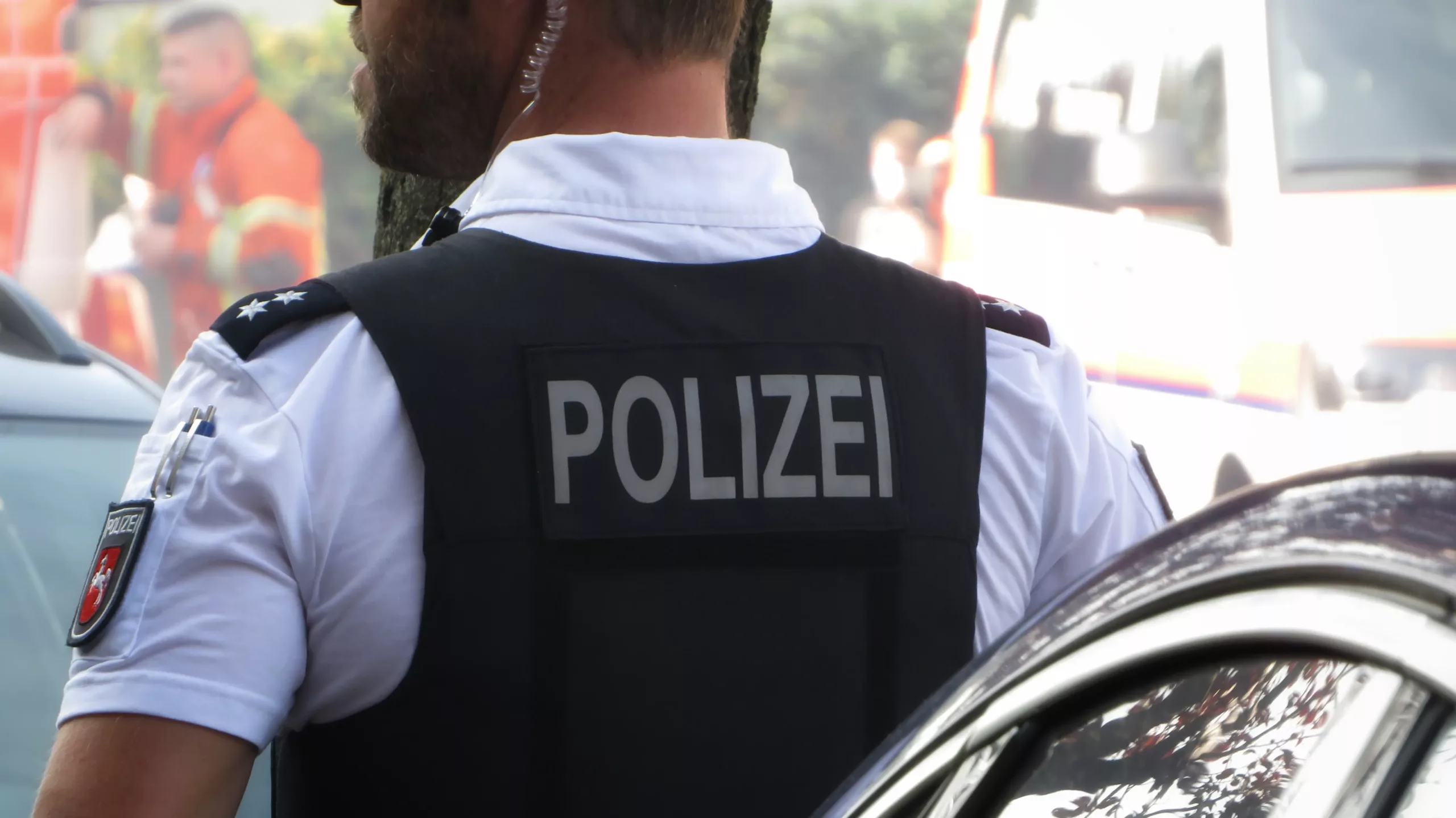 images-img-vorschau-tetra